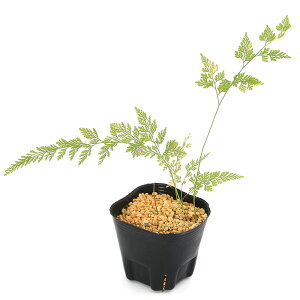 iR쑐jV_irj^`VmuiEj3i1|bgjΐN