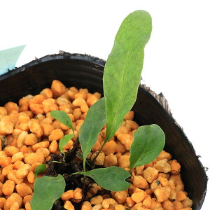 iR쑐jV_irjCVKLE{ViΊ_j3i1|bgjixԁj