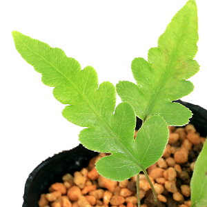 iR쑐jV_irjn`WEJO}iJO}j3i1|bgjΐN