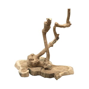 _@VRfނ̑gݗĎ@Ƃ܂؁@M@yt@900310@֓