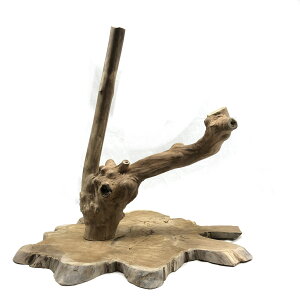 _@VRfނ̑gݗĎ@傫ȂƂ܂؁@yt@֓