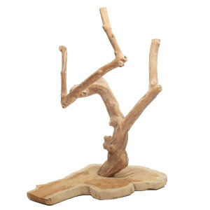 _@VRfނ̑傫ȂƂ܂؁@yt@900338@֓