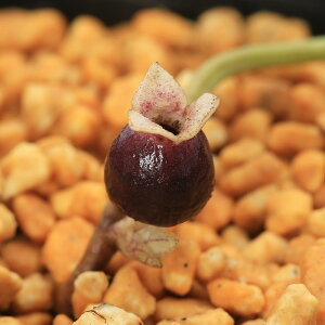 iR쑐jJAICijVCm~JAICiŔVj3i1|bgj@ÓT|