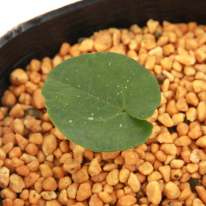 iR쑐jJAICijCJAICiFj@3i1|bgj