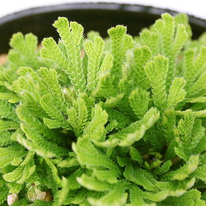 iR쑐jV_irjinCqo@сiIESjVLj2D5`3i1|bgjÓT|