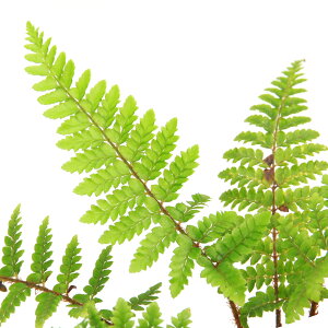 iR쑐jV_irjCmfhLi[j@3i1|bgj@ΐN