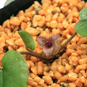 iR쑐jJAICijN`X{JAICiN`X{j@3i1|bgj