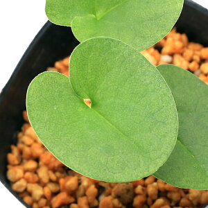 iR쑐jJAICijN`X{JAICiN`X{j3i1|bgjÓT|