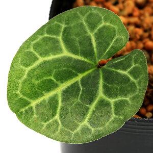 iR쑐jJAICijXYJJAICi鎭j@Tbt@3i1|bgjÓT|