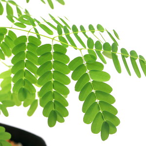 iϗtAjzEIE{NiP؁jC@|CVAi@3i1|bgjixԁj