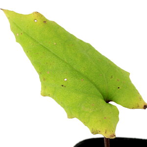 iR쑐jJAICijciVtWmJAICi슦j@3i1|bgj