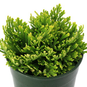 iR쑐jV_irjinCqo@сiRjVLj2D5`3i1|bgjÓT|