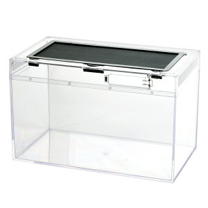 ঒ރP[W@NAP[X@40×20×25cm@|J[{lCg@֓