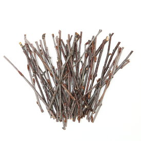 かじり木　国産　しらかばの木　極細枝　30g　小動物　おもちゃ　無添加　無着色　うさぎ　ハムスター　チンチラ　関東当日便