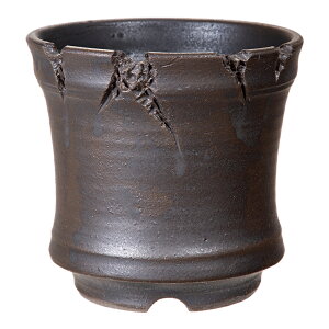 @R|@vqā@4@t`T@a12cm`13D5cm@֓