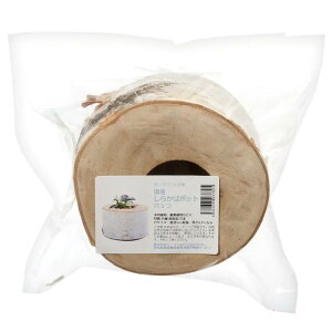 ؐ|bg@1@Y炩΁@Jo[@K[fjO@֓