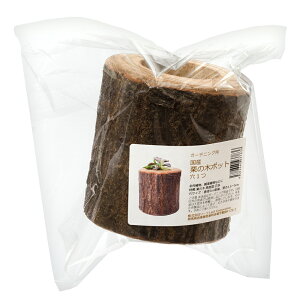 ؐ|bg@1@YI̖؁@Jo[@K[fjO@֓