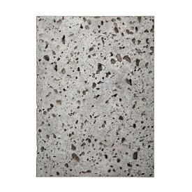 バスキング用　溶岩石プレート　1枚　15×20cm　関東当日便