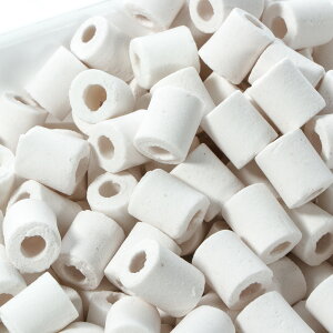 Z~bNO@MTCY@1L@Oށ@oNeA@֓