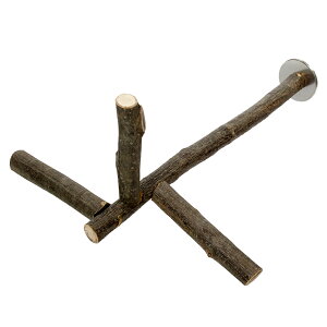 @Ƃ܂؁@̖؂݂̒艺p[`@Y@ZLZC@^CR@tB`@֓