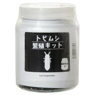 【10／15限定】当選確率2分の1！1等最大100％　トビムシ繁殖キット　飼育容器付き　活餌