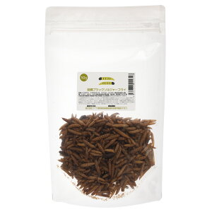 ubN\W[tC@50g@ށ@঒ށ@nlY~@K@t[h@a@GT@֓