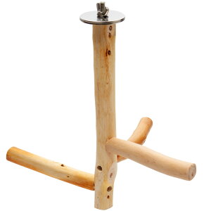 @Ƃ܂؁@qmL݂̒艺p[`@V[g@ׂ߁@Y@ZLZC@^CR@tB`@֓