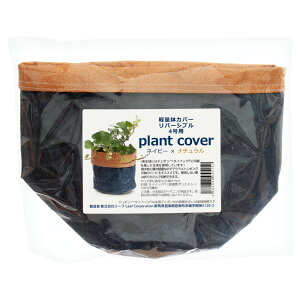 Jo[@yʔJo[@o[Vu@4p@lCr[×i`@ϗtA@@y@߂@Ȃ@֓