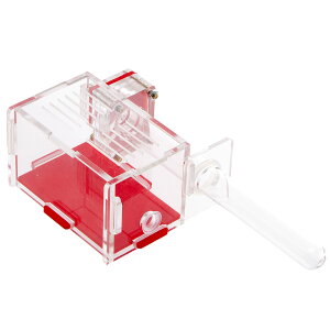 AgsA@1{^@ANeBuGAt@lXg@֓