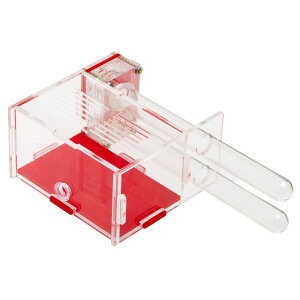 AgsA@2{^@ANeBuGAt@lXg@֓