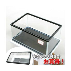 楽天市場 カメ 水槽の通販