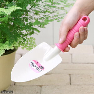 FGnhXRbv@visNj@XRbv@Vx@֓