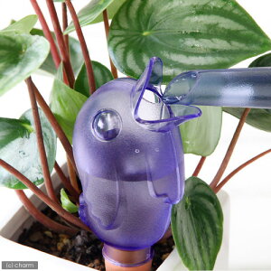 scheurich@V[bq@o[fB@u[@087^10ij@֓