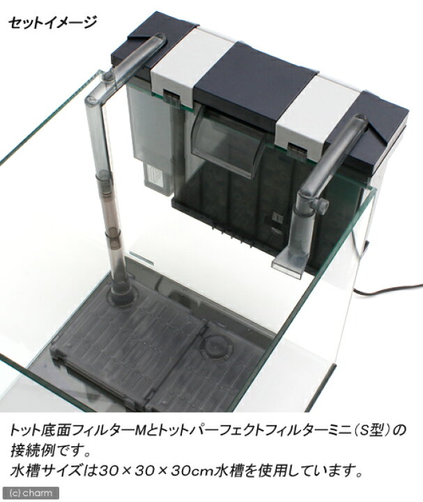 楽天市場 トット 底面フィルター ｍ ３０ｃｍ水槽用底面フィルター 関東当日便 Charm 楽天市場店