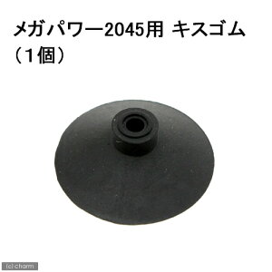 GEX@LXS@1@Kp[2045p@WFbNX@֓