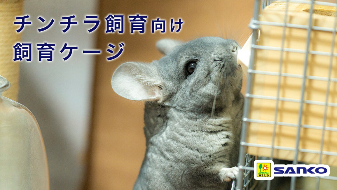 楽天市場 | charm 楽天市場店 - 三晃商会 チンチラ向け飼育ケージ