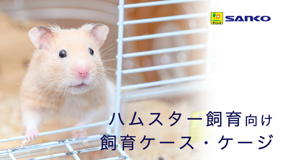 charm 店 - 三晃商会 ハムスター向け飼育ケース