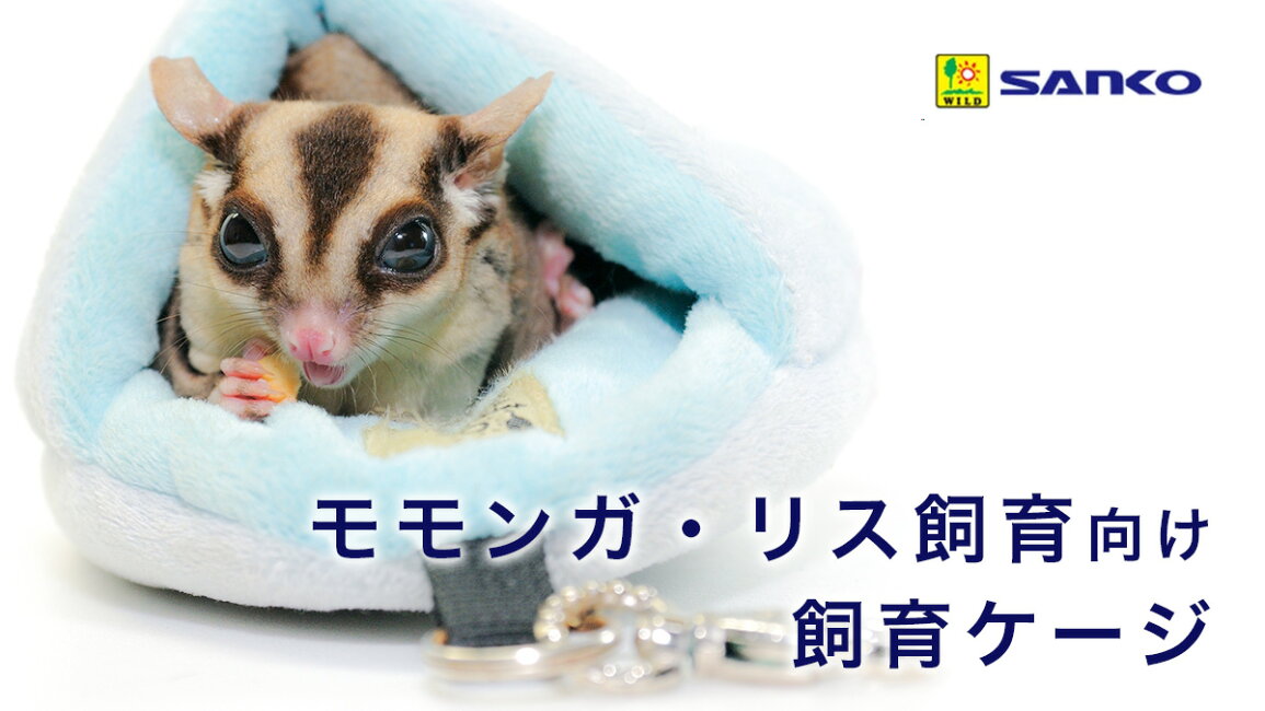 楽天市場 | charm 楽天市場店 - 三晃商会 モモンガ・リス向け飼育ケージ