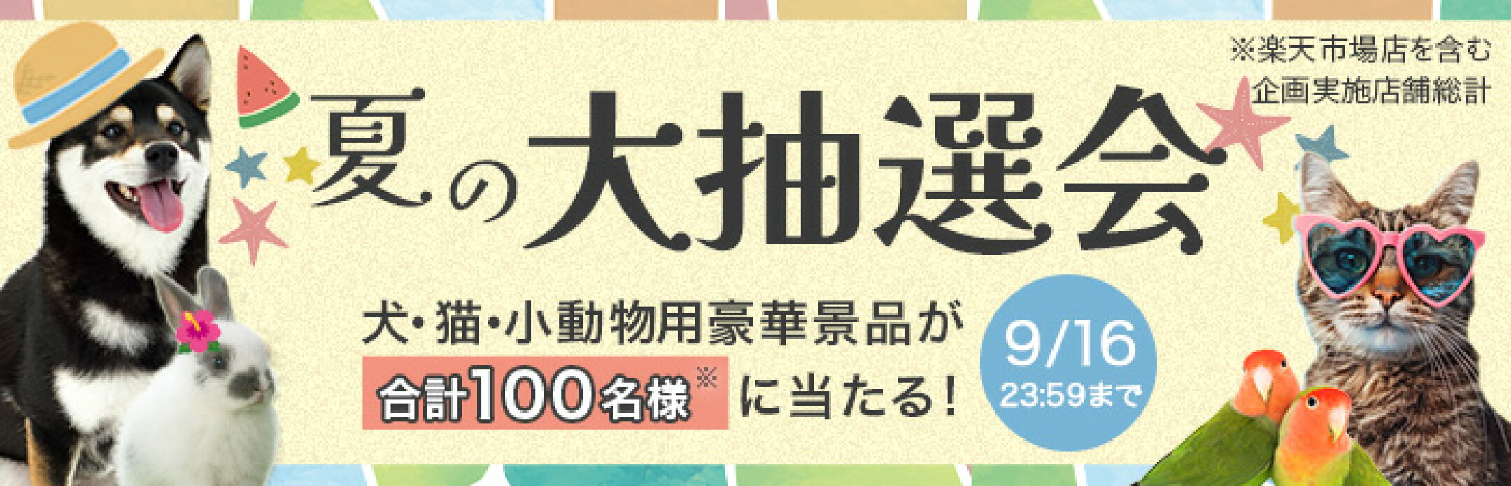 夏の抽選企画　9/16　23:59まで