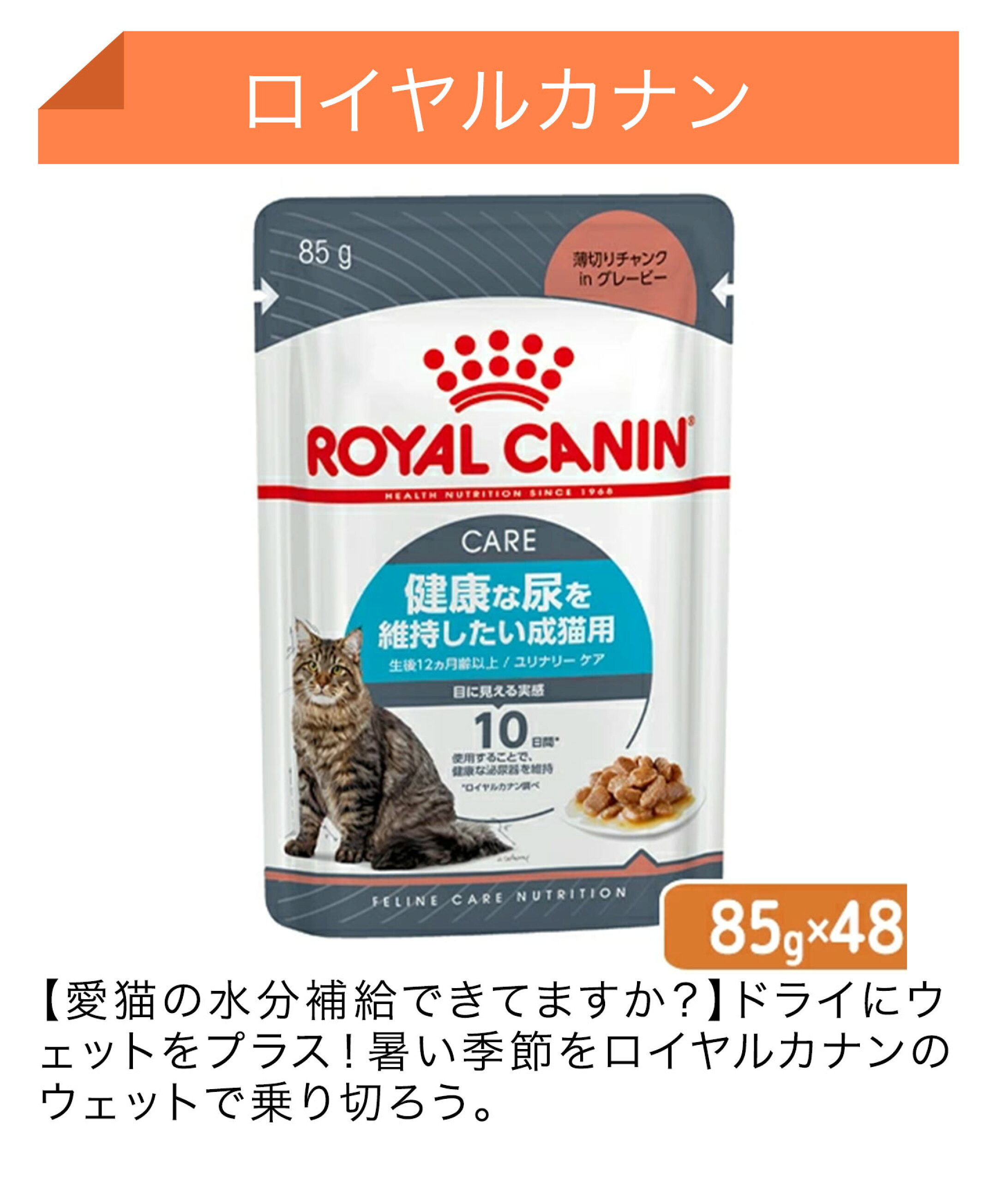 ロイヤルカナン	