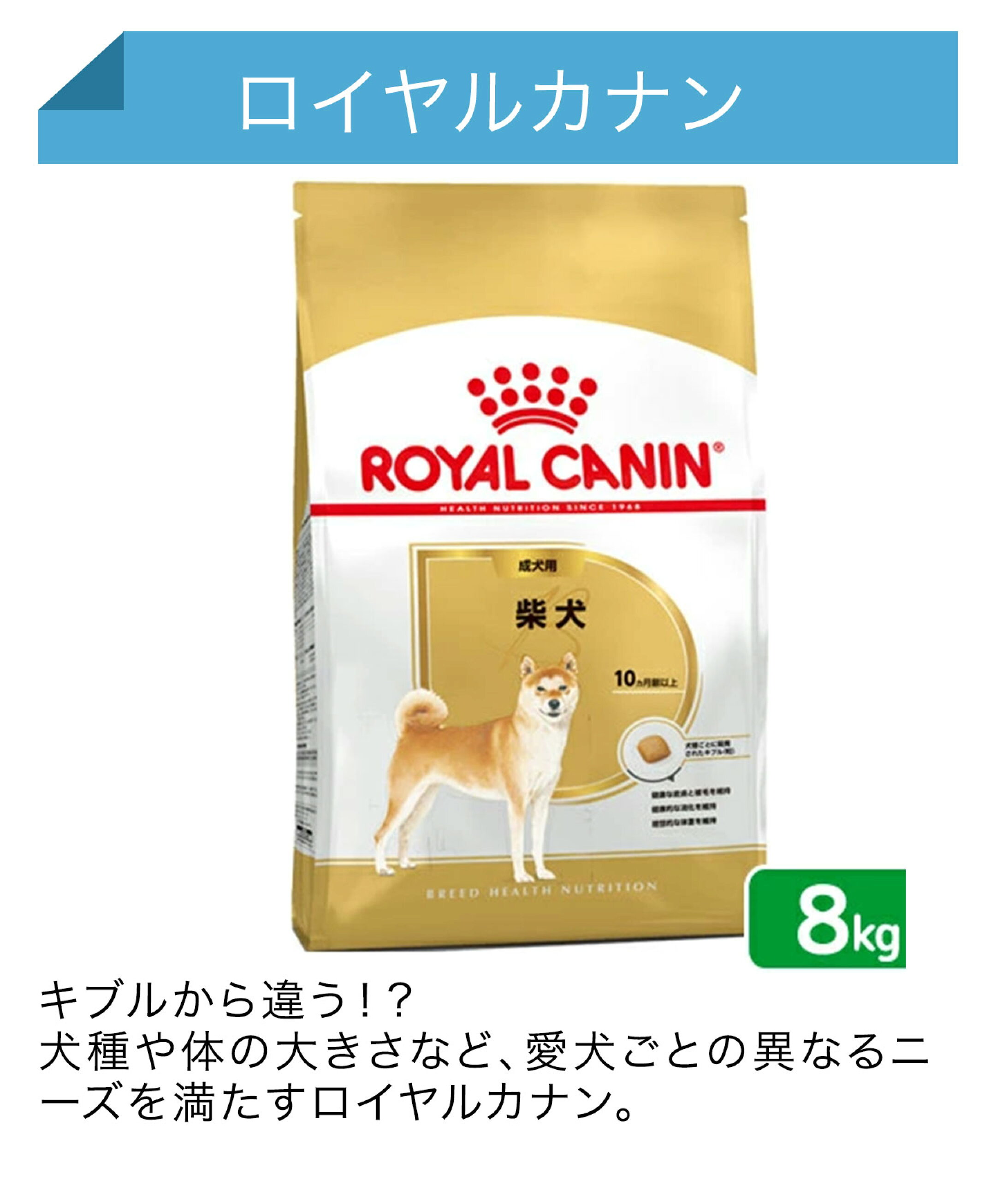 ロイヤルカナン	