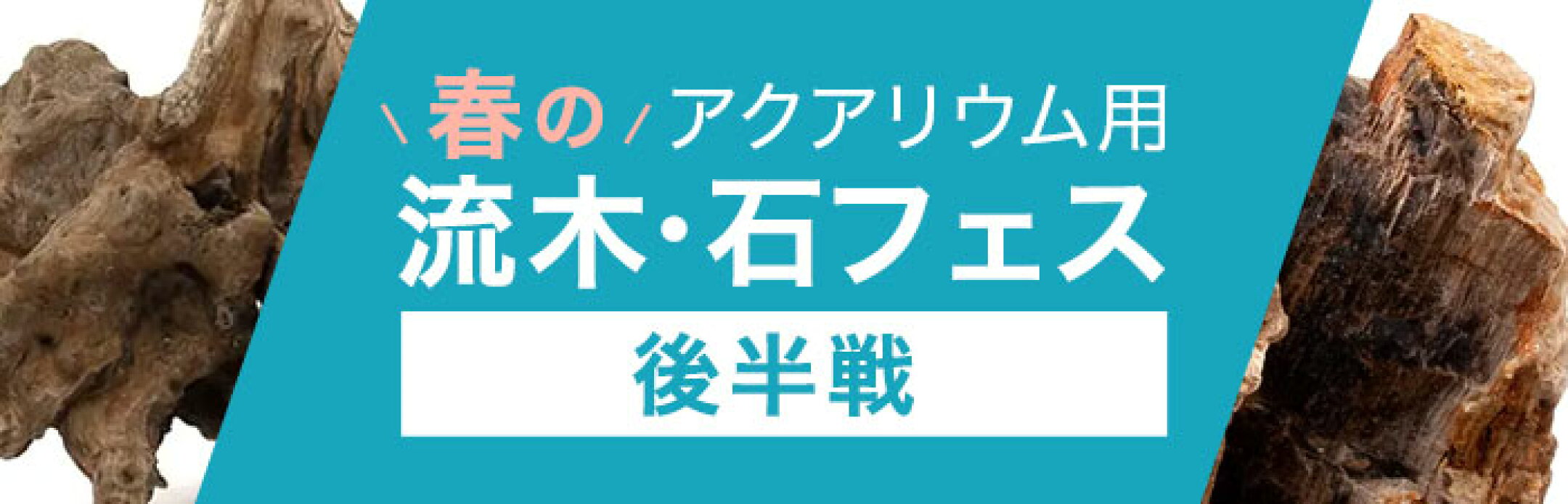 流木フェス