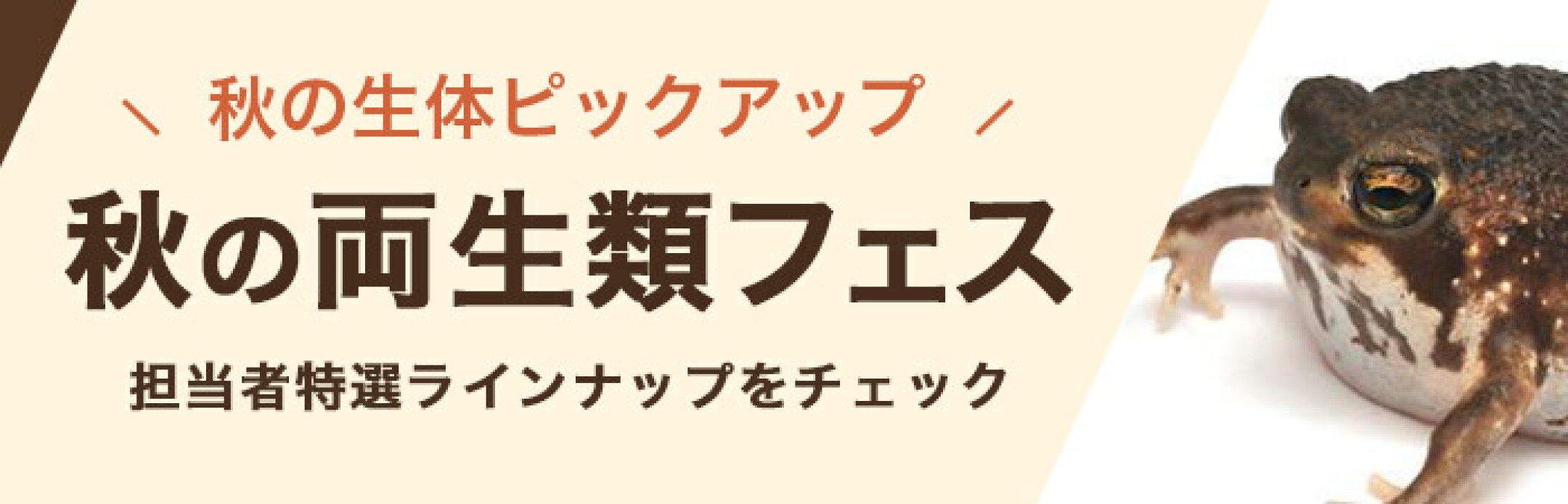 生体部　10/20まで