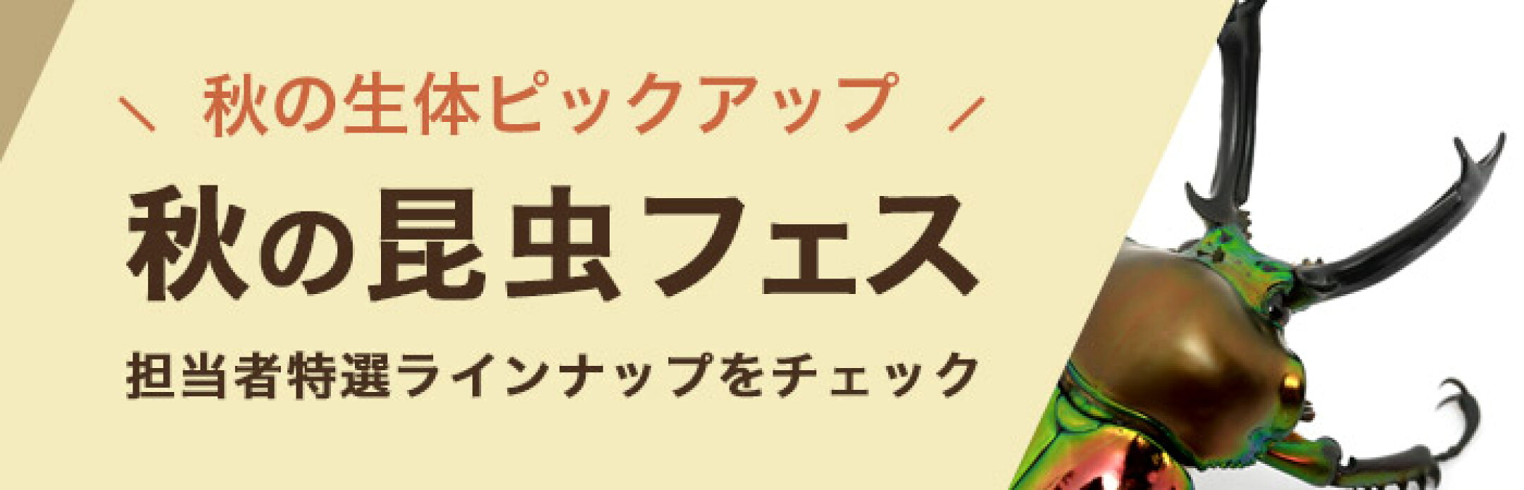 生体部　11/03まで