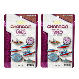 L[@ЂNXg@JV@12g×2܁@ll25_@֓