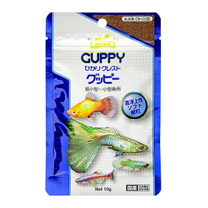 L[@ЂNXg@Obs[@10g×2܁@ll25_@֓