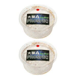 ێJbv@喲A@vXybN@iJ^Pj@Jbv@200cc@2