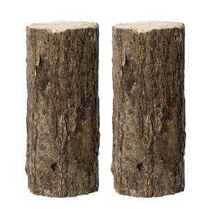 RiY؁@זځ@2{@@NK^p@֓