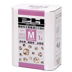 p[nEX@\tg^Cv@MTCY@Wp@1bg@_@ށ@pHێ@֓