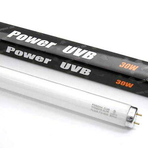 @|SiNu@roEO[@p[UVB@30Wi90cmpj@঒ށ@Cg@O@UV@֓